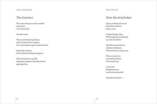 LEANING TOWARD LIGHT POEM BOOK