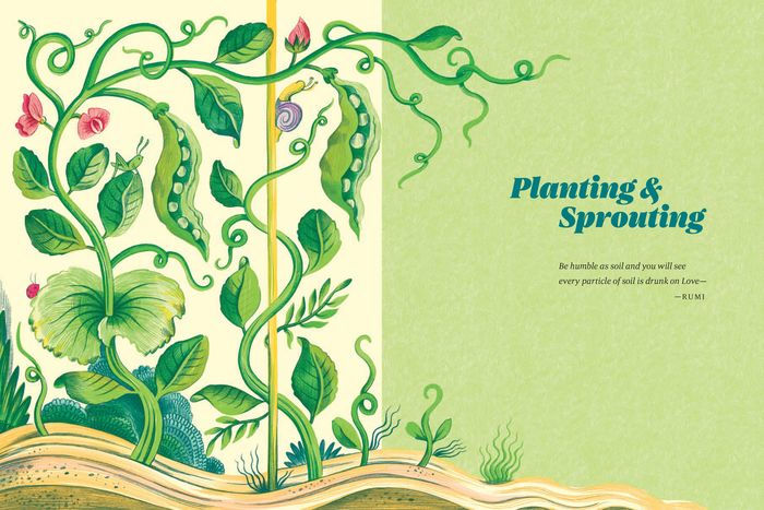 LEANING TOWARD LIGHT POEM BOOK
