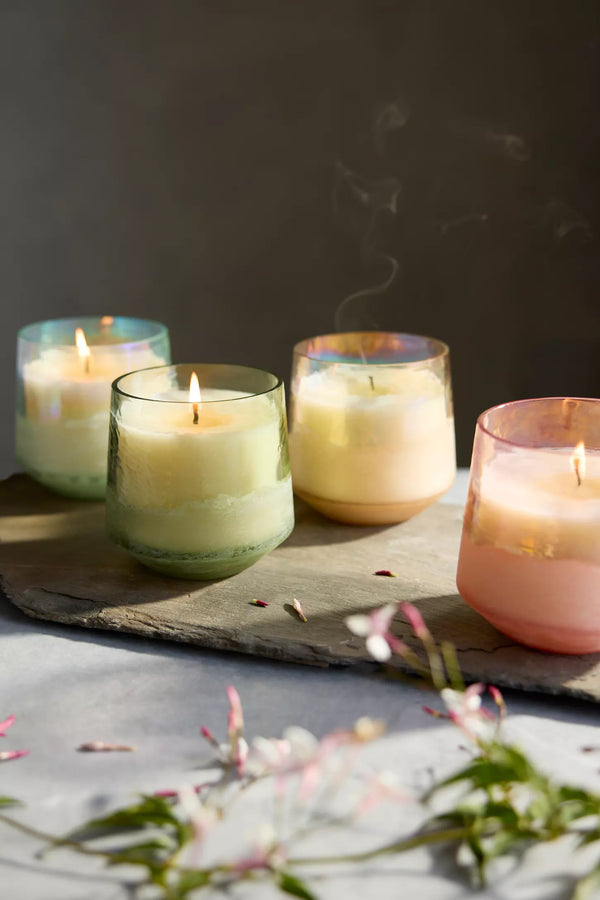 COCONUT MILK MANGO BALTIC GLASS CANDLE 13OZ