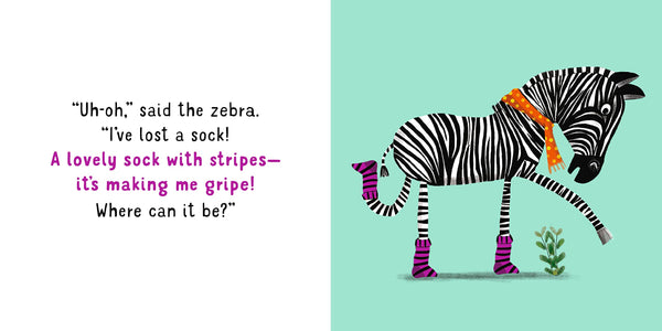 HAVE YOU SEEN MY SOCK? BOOK