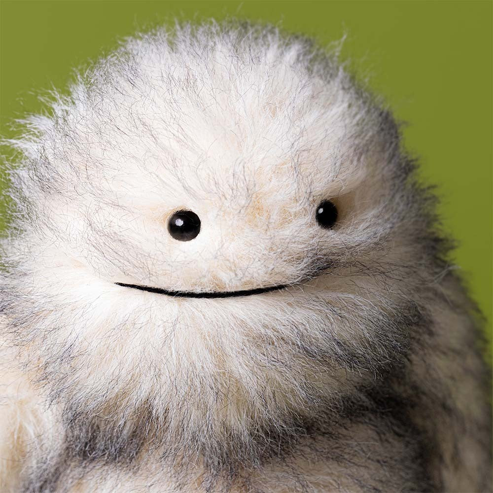 BRETTI YETI