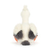 KELI PELICAN