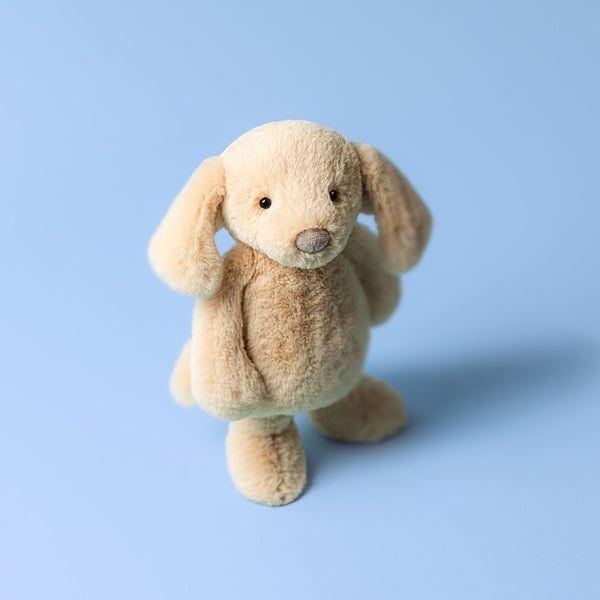 BASHFUL LUXE PUPPY ORLANDO