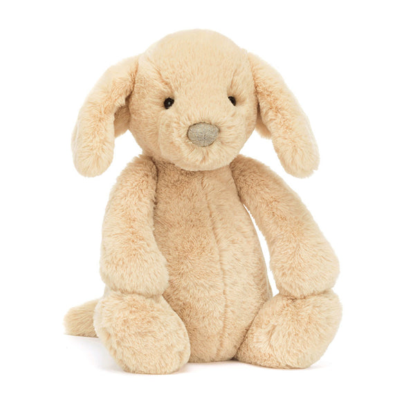 BASHFUL LUXE PUPPY ORLANDO