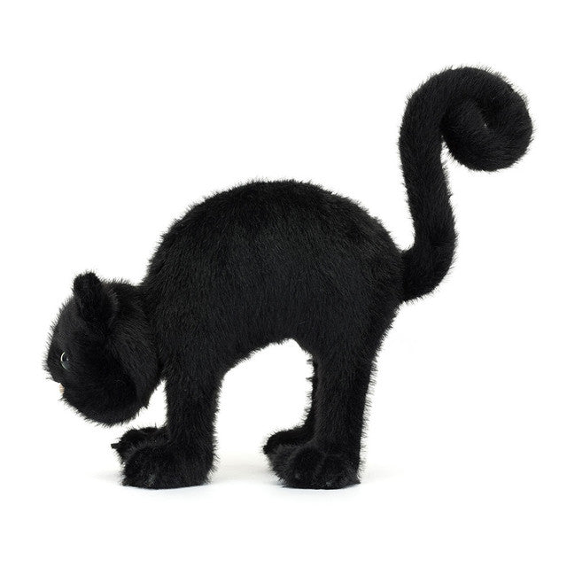 SPOOKIPAWS CAT