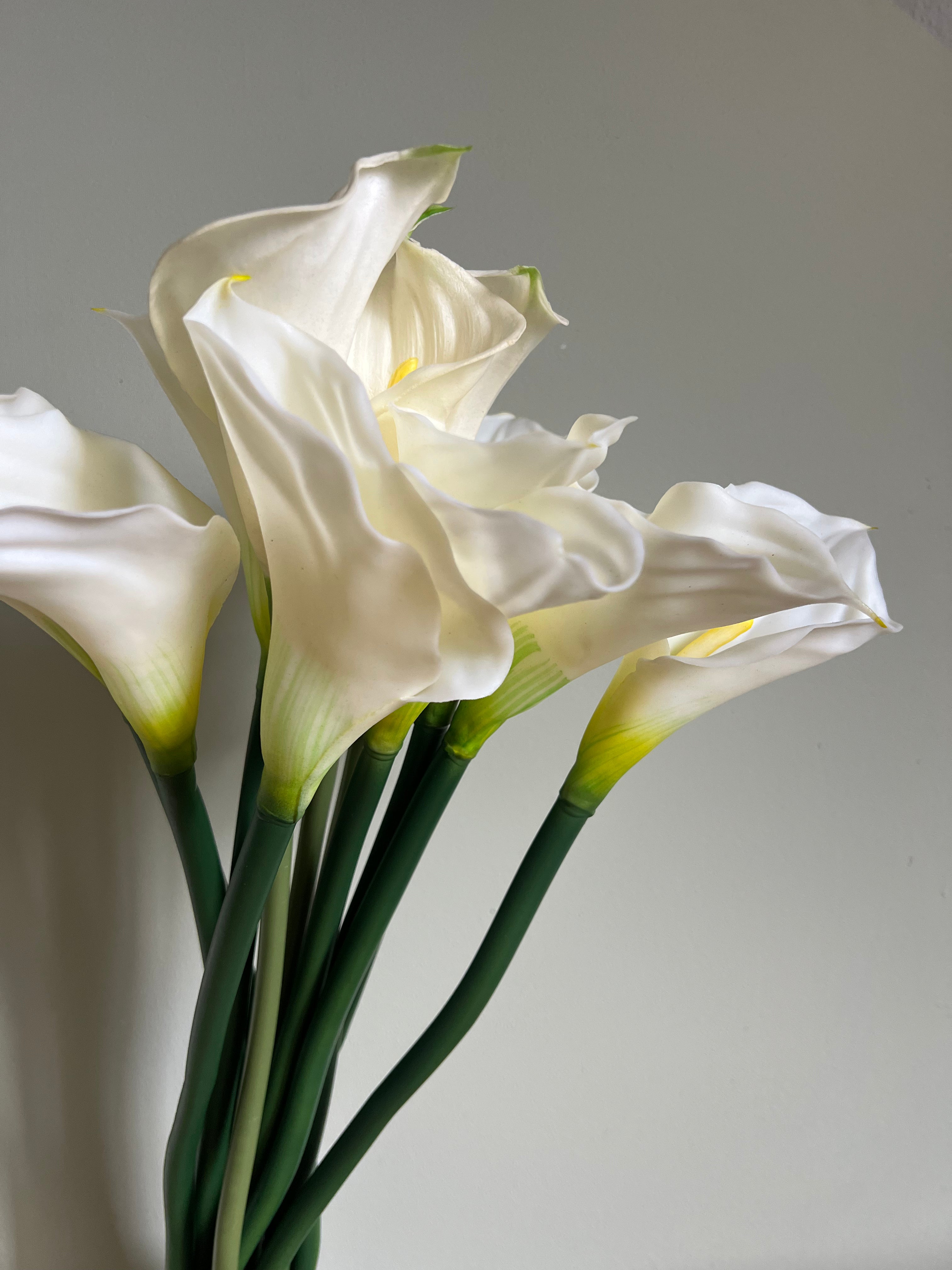 SINGLE CALLA LILY STEM