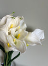 SINGLE CALLA LILY STEM
