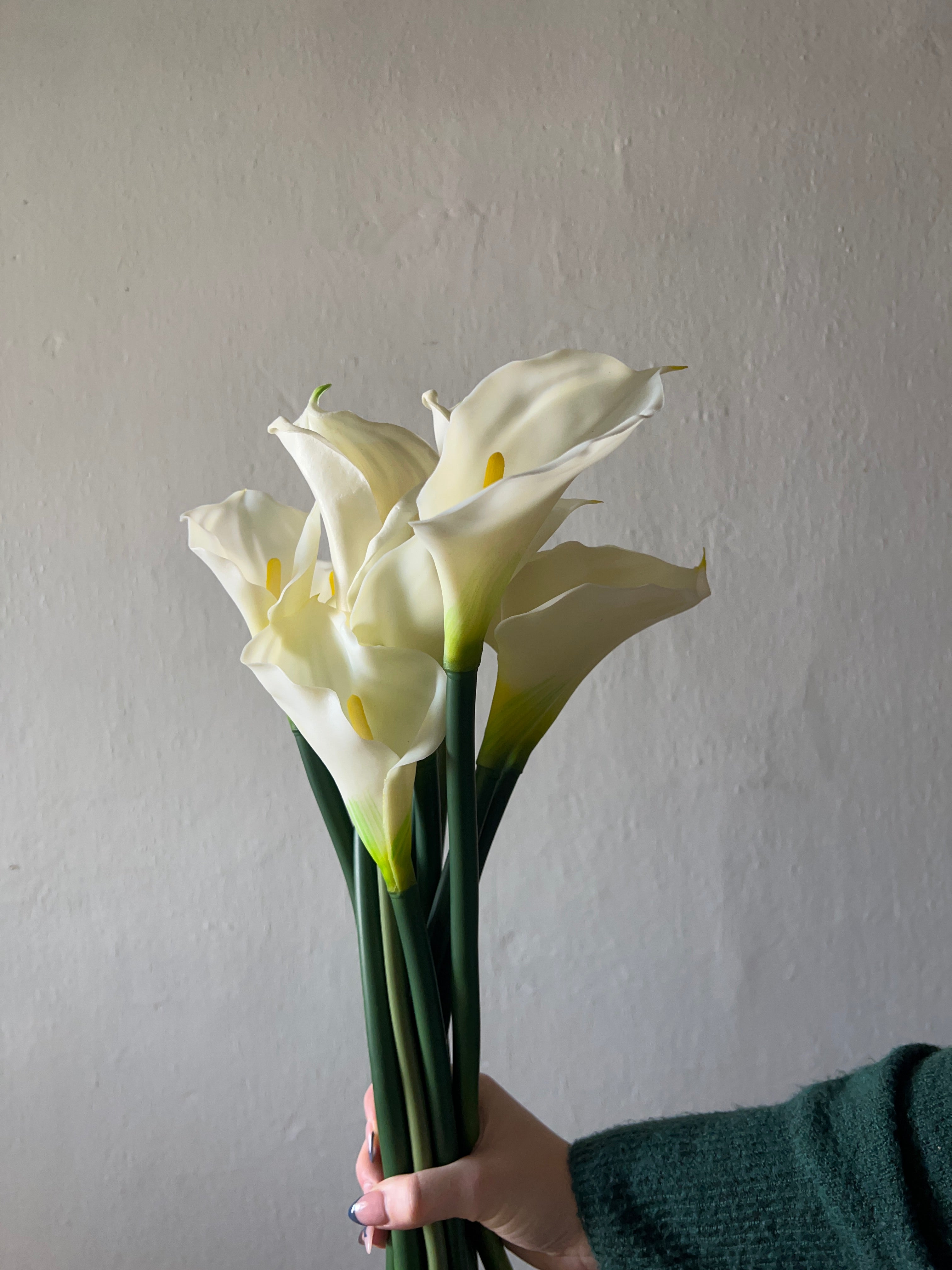 SINGLE CALLA LILY STEM
