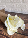 SINGLE CALLA LILY STEM
