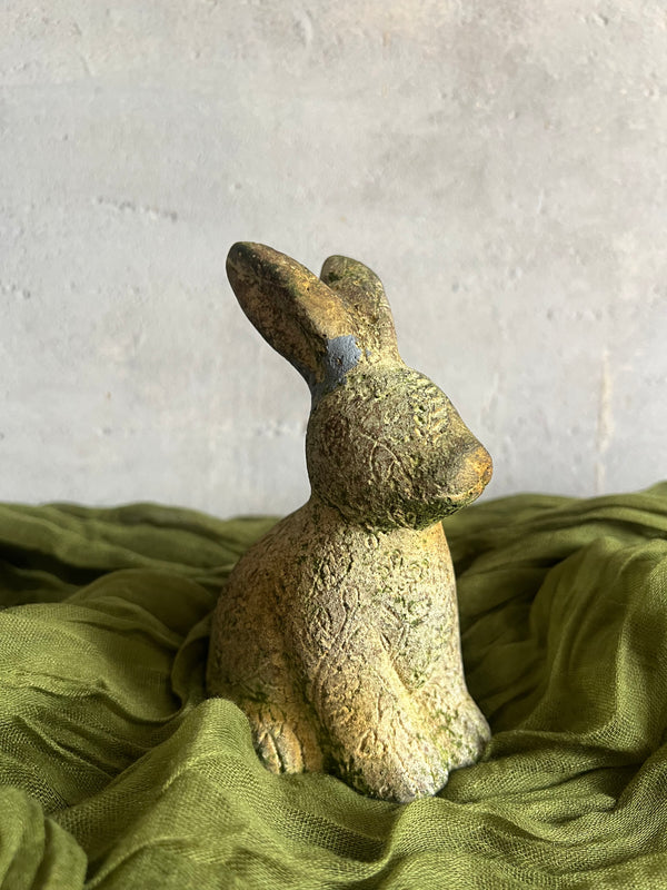 CONCRETE TILLY RABBIT