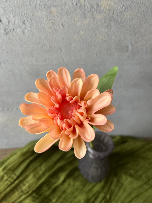 PINK CHRYSANTHEMUM STEM