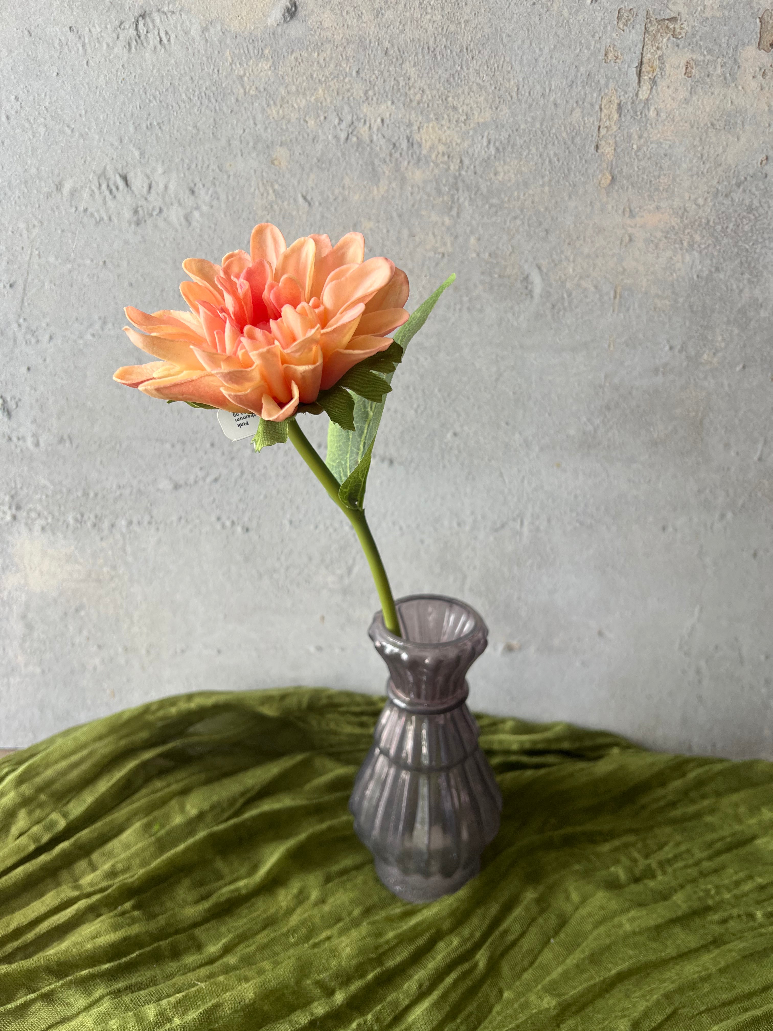PINK CHRYSANTHEMUM STEM