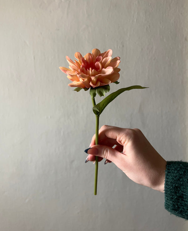 PINK CHRYSANTHEMUM STEM
