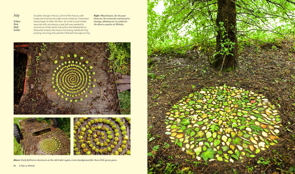 LAND ART: CREATING ARTWORKS IN AND WITH THE LANDSCAPE