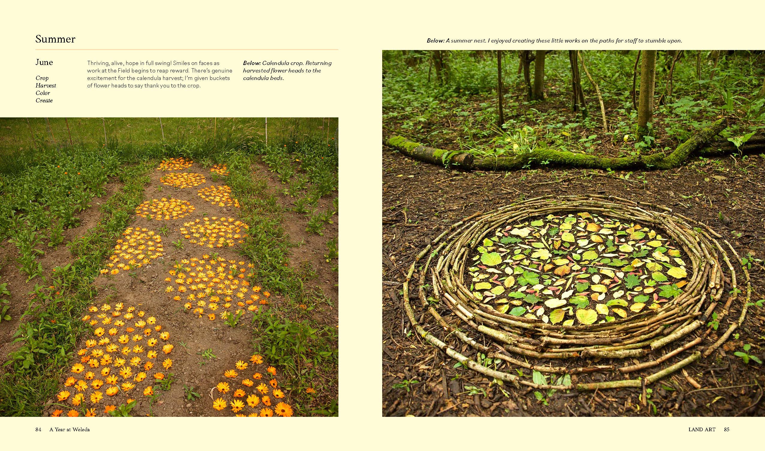 LAND ART: CREATING ARTWORKS IN AND WITH THE LANDSCAPE
