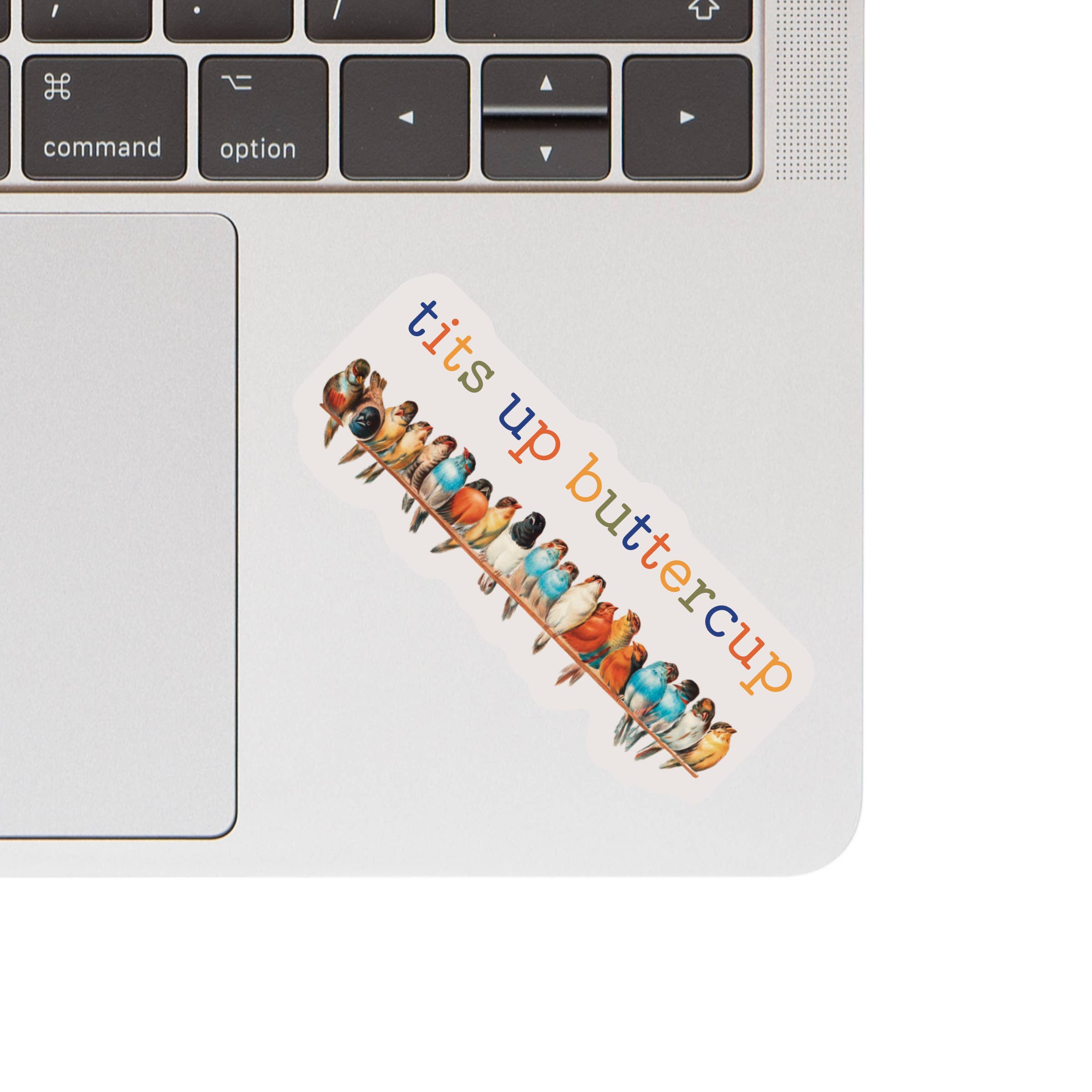 TITS UP BIRD VINYL STICKER