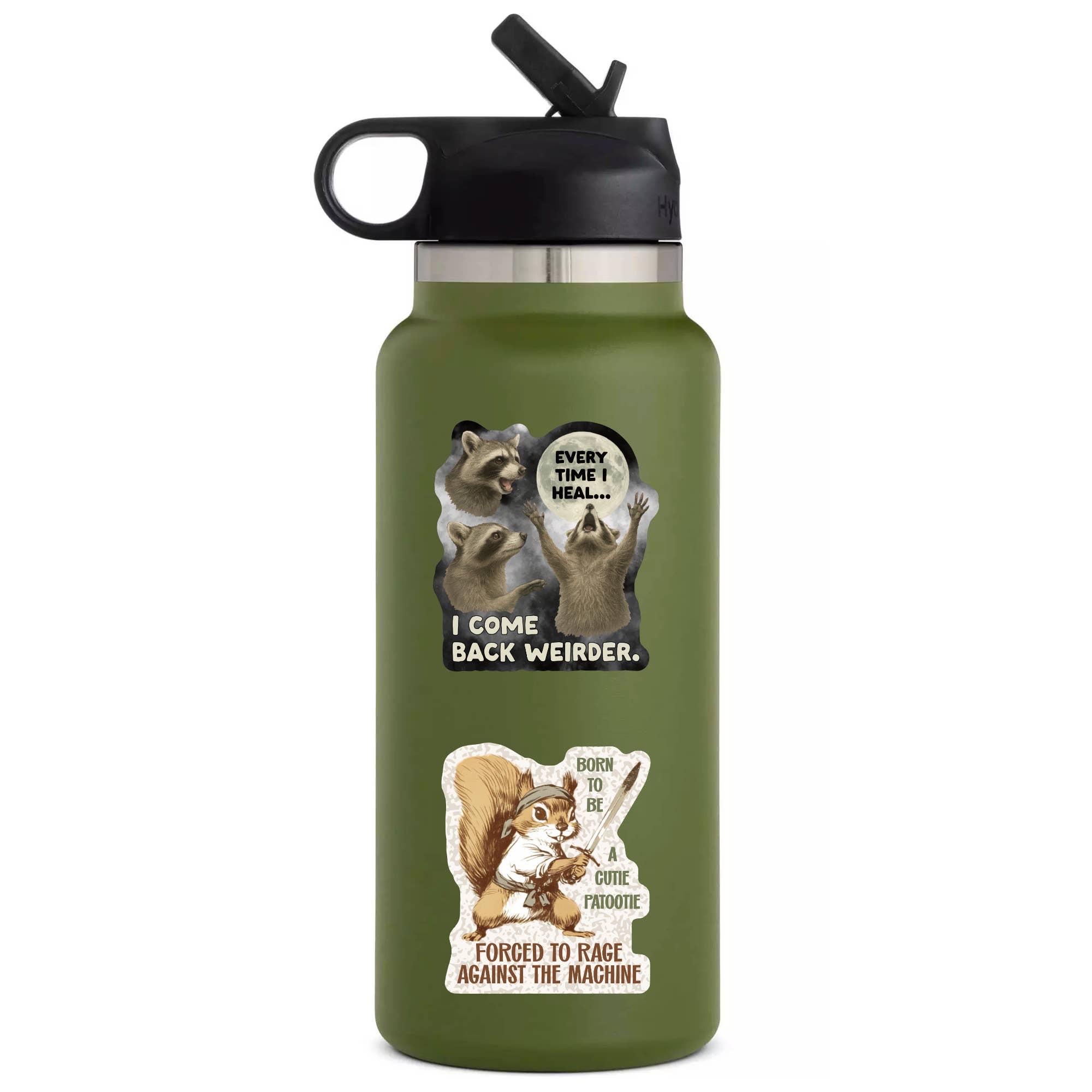 BORN TO BE A CUTIE PATOOTIE FUNNY SQUIRREL RAGE FIGHT STICKER