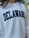 DELAWARE CREWNECK SWEATSHIRT