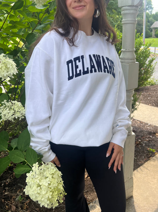 DELAWARE CREWNECK SWEATSHIRT