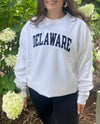 DELAWARE CREWNECK SWEATSHIRT