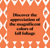 Text on a brown background with leaf patterns, promoting the appreciation of fall foliage.