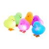 SQUISHY CHICKS