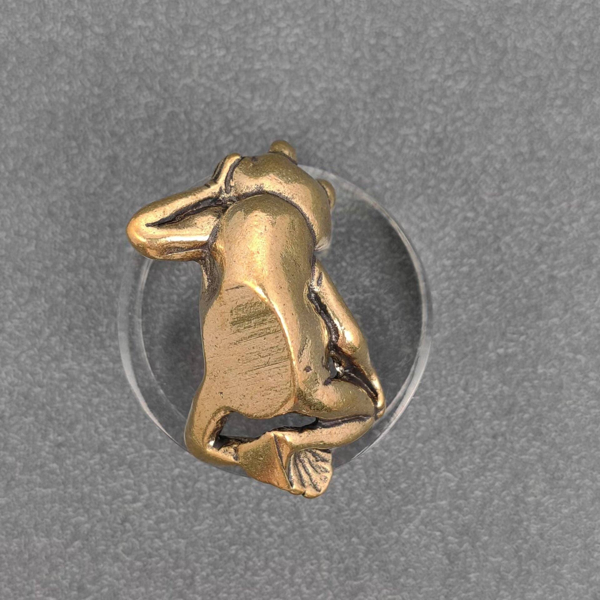 BRASS SIDE-LYING FROG