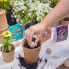 BESPOKE BLOOMS: THE MAESTRO'S GARDEN