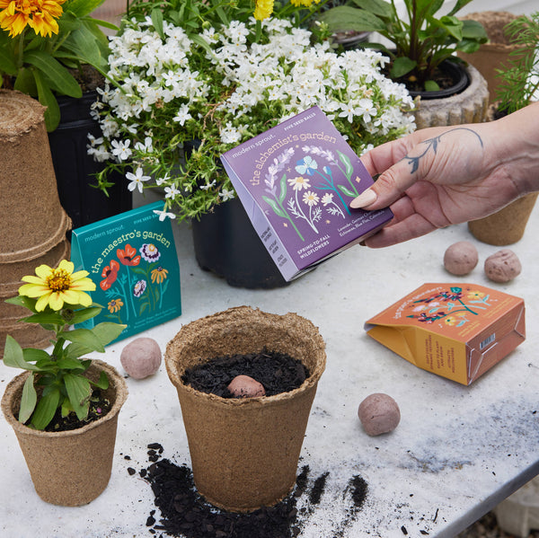 BESPOKE BLOOMS: THE POET'S GARDEN