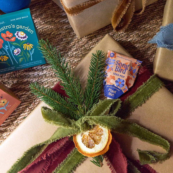 POLLINATOR SEED POPS