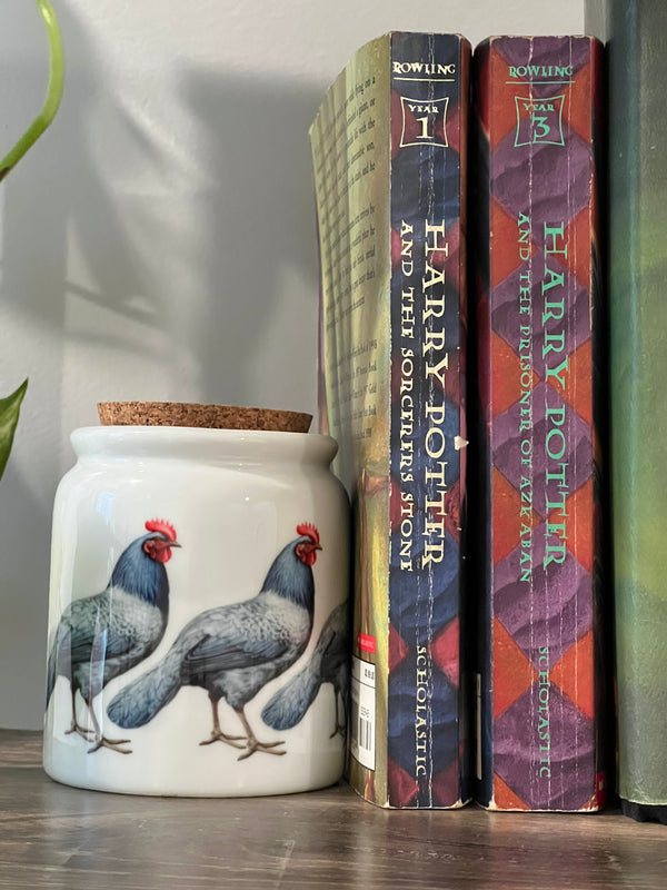DELAWARE BLUE HEN JAR