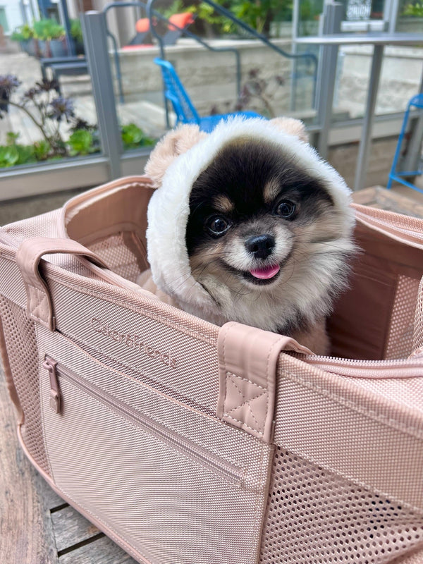 BEIGE PET TRAVEL CARRIER