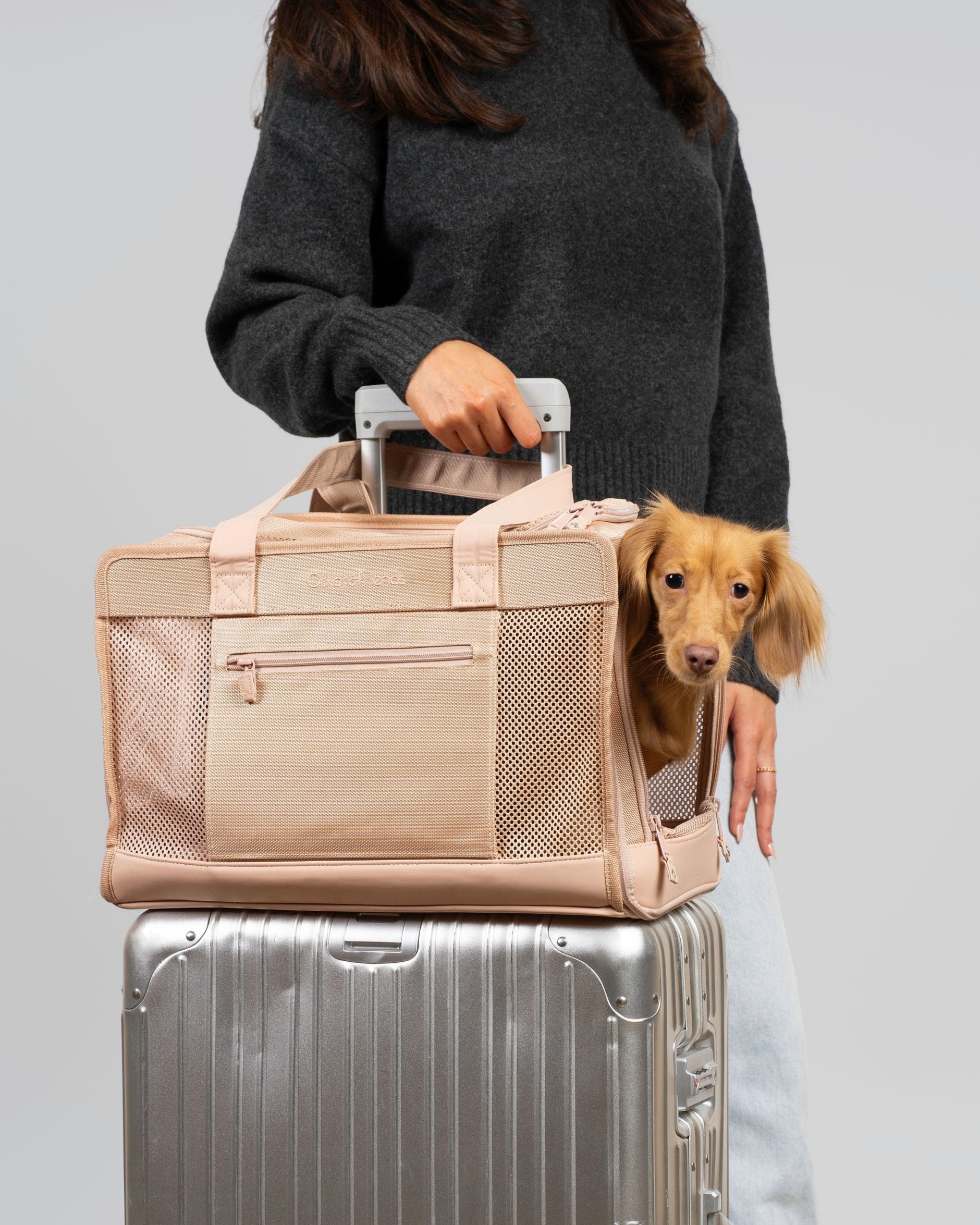 BEIGE PET TRAVEL CARRIER