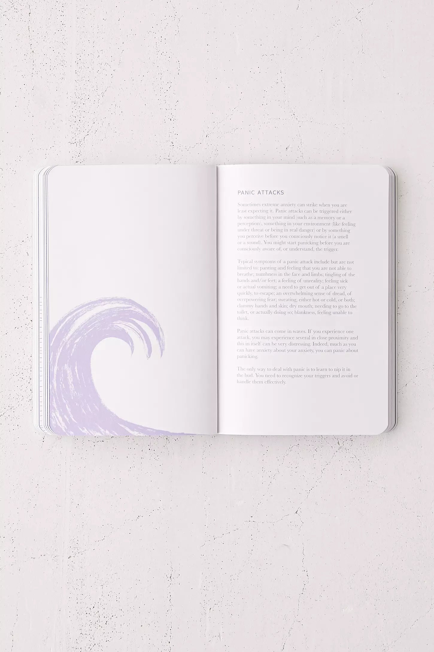 THE ANXIETY JOURNAL