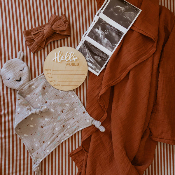 Baby items including a plush toy, headband, and ultrasound photo on a striped background