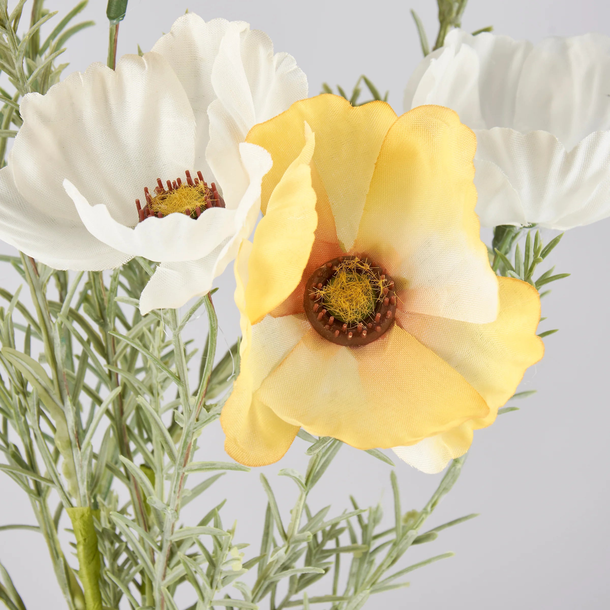 SUNSHINE COSMOS BOUQUET