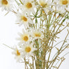 DAISIES FLORAL PICK