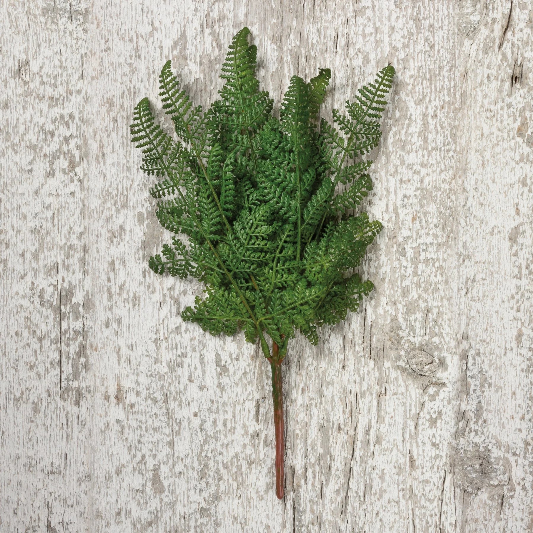 DARK LACY FERN FLORAL PICK