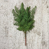 DARK LACY FERN FLORAL PICK