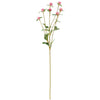 PINK GLOBE AMARANTH FLORAL PICK