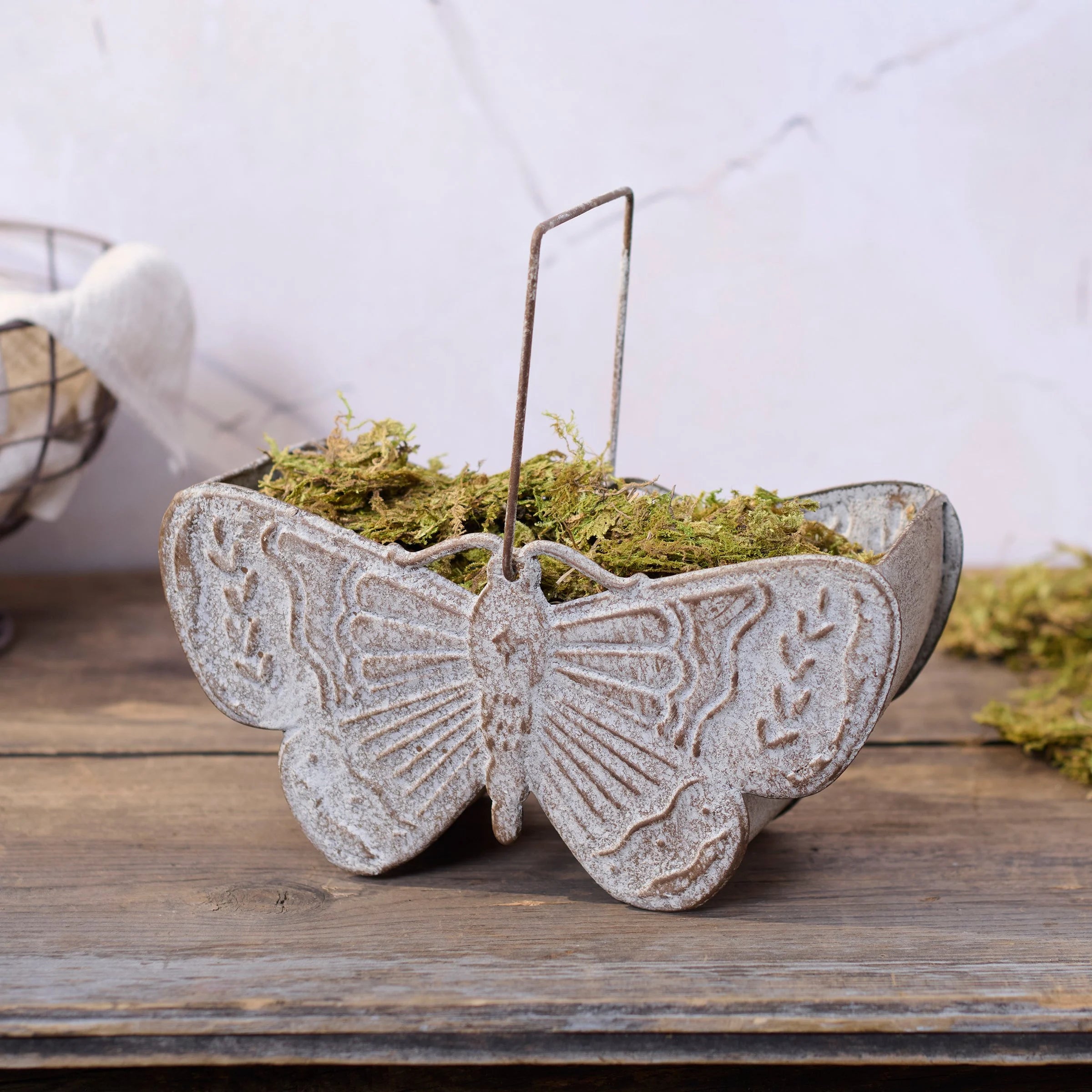 MOTH BASKET