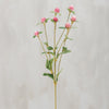PINK GLOBE AMARANTH FLORAL PICK