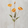 YELLOW POPPY FLORAL PICK