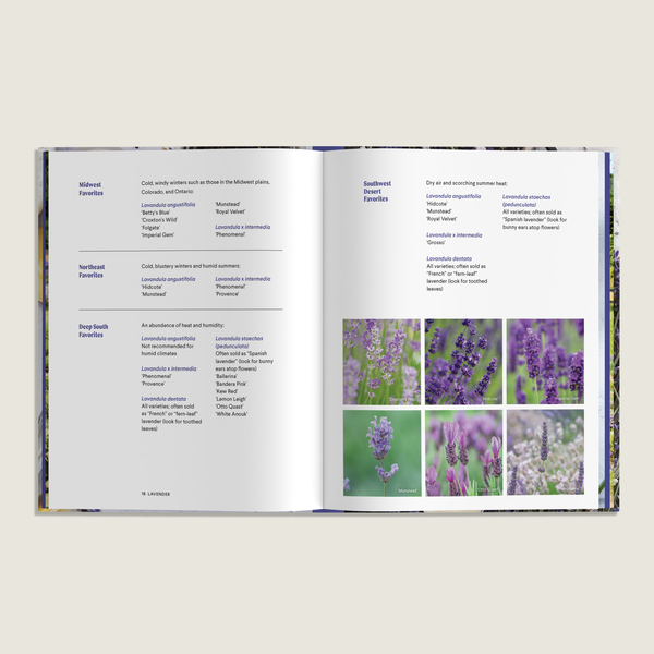 LAVENDER: 50 SELF-CARE RECIPES AND PROJECTS FOR WELLNESS