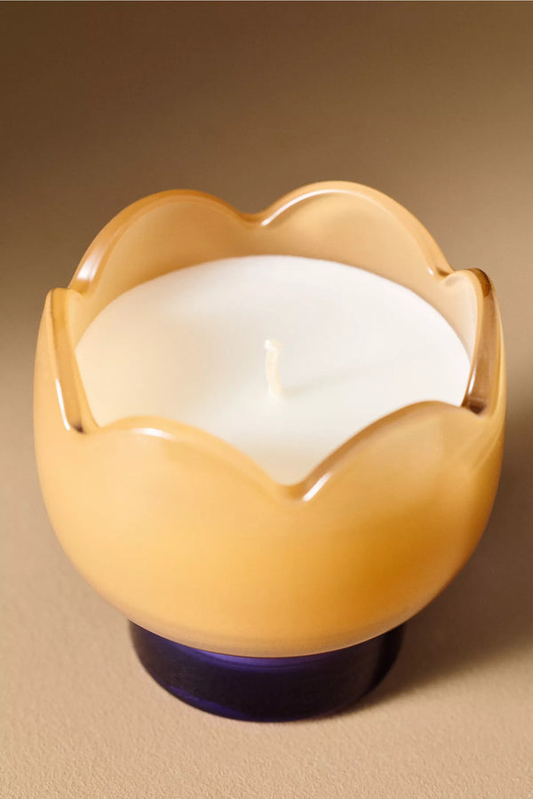 TULIP 5.5 OZ GLASS W/ PRINTED BOX - GARDEN & GROVE