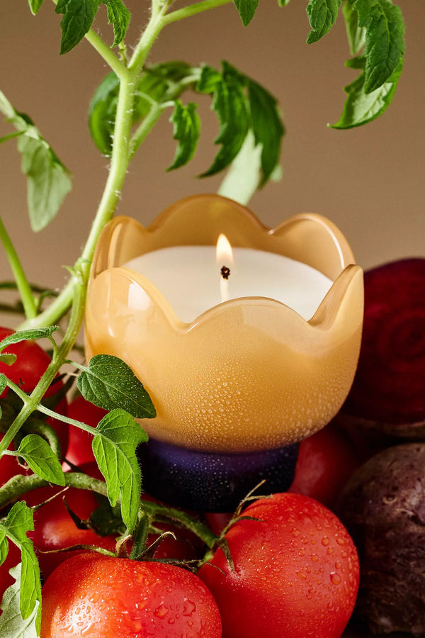 TULIP 5.5 OZ GLASS W/ PRINTED BOX - GARDEN & GROVE