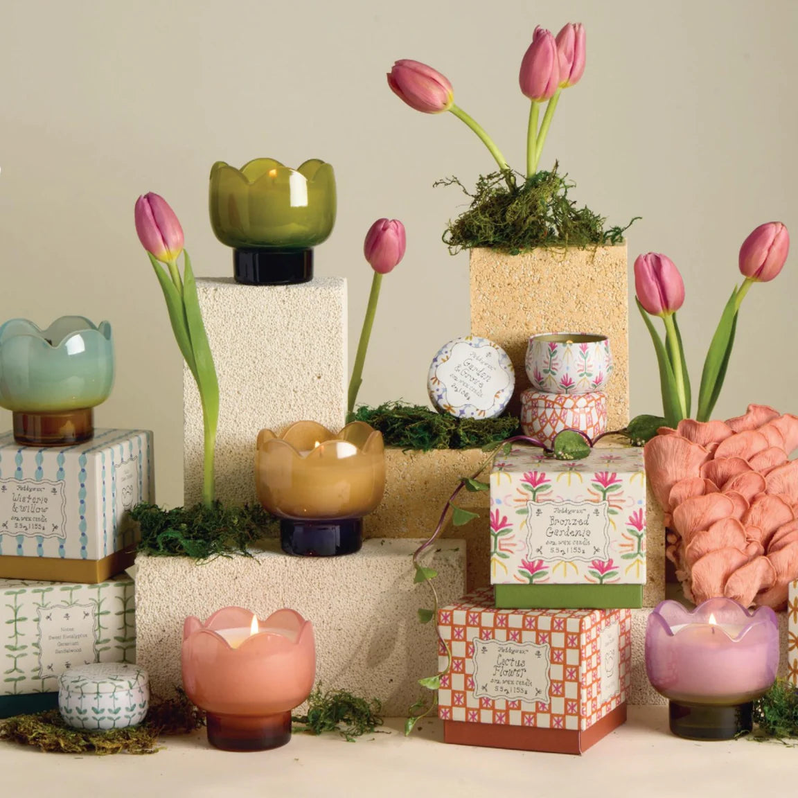 TULIP 5.5 OZ GLASS W/ PRINTED BOX - GARDEN & GROVE