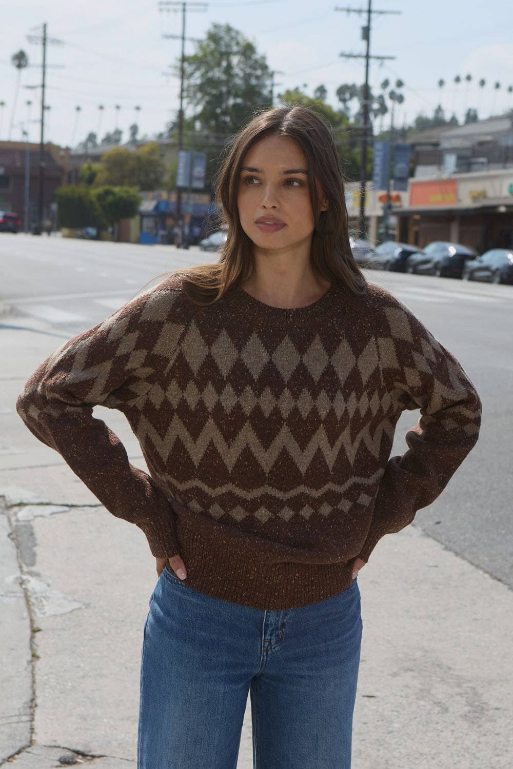 CHOCOLATE ARGYLE CONFETTI KNIT RAGLAN SWEATER