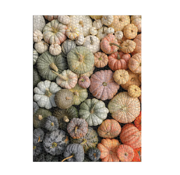 Collection of various small pumpkins in different colors on a textured fabric background