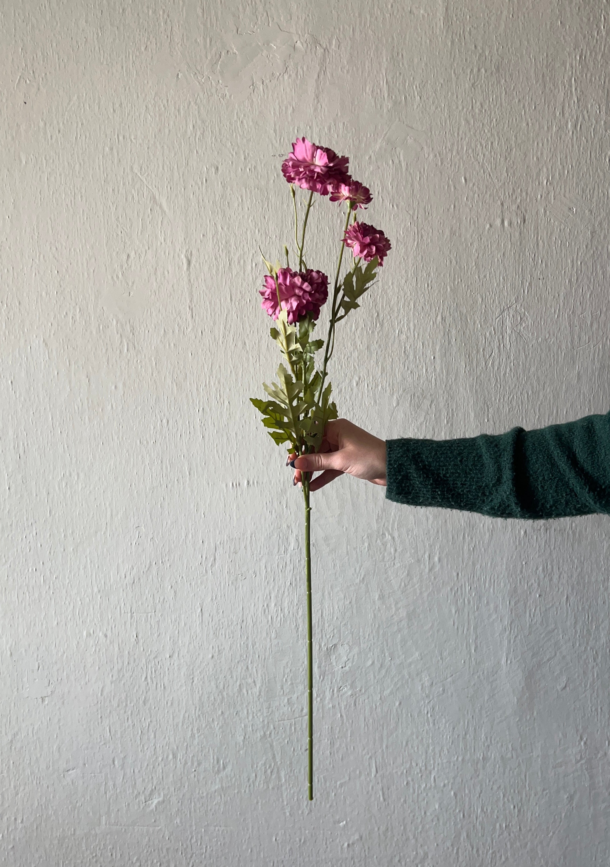 DEEP PINK DAISY STEM